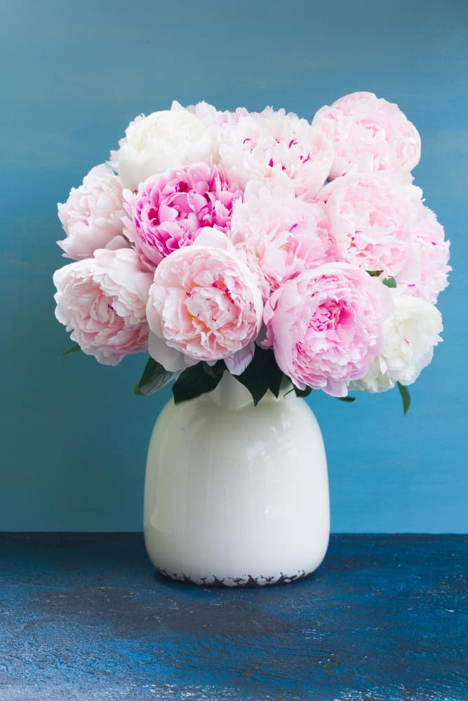 Modern Glass Vase